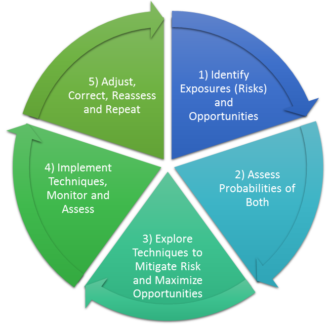 Sustainability Risk Management Process